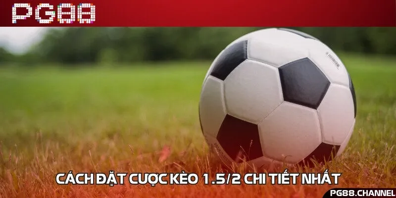 Hướng dẫn cách bước vào tiền nhanh chóng nhất