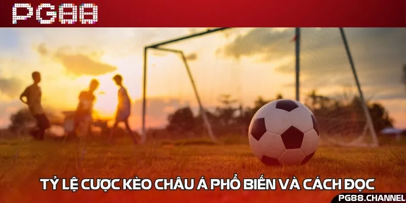 Top 5 tỷ lệ thường gặp trong kèo cá cược bóng đá châu Á